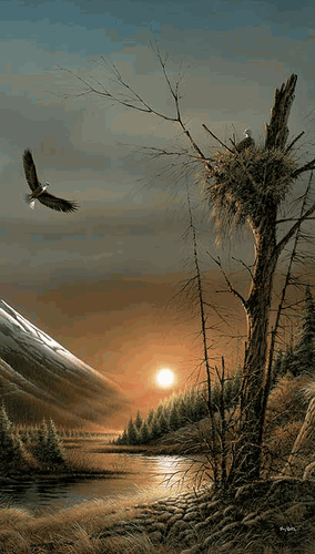 (image for) Flying Free PINNACLE